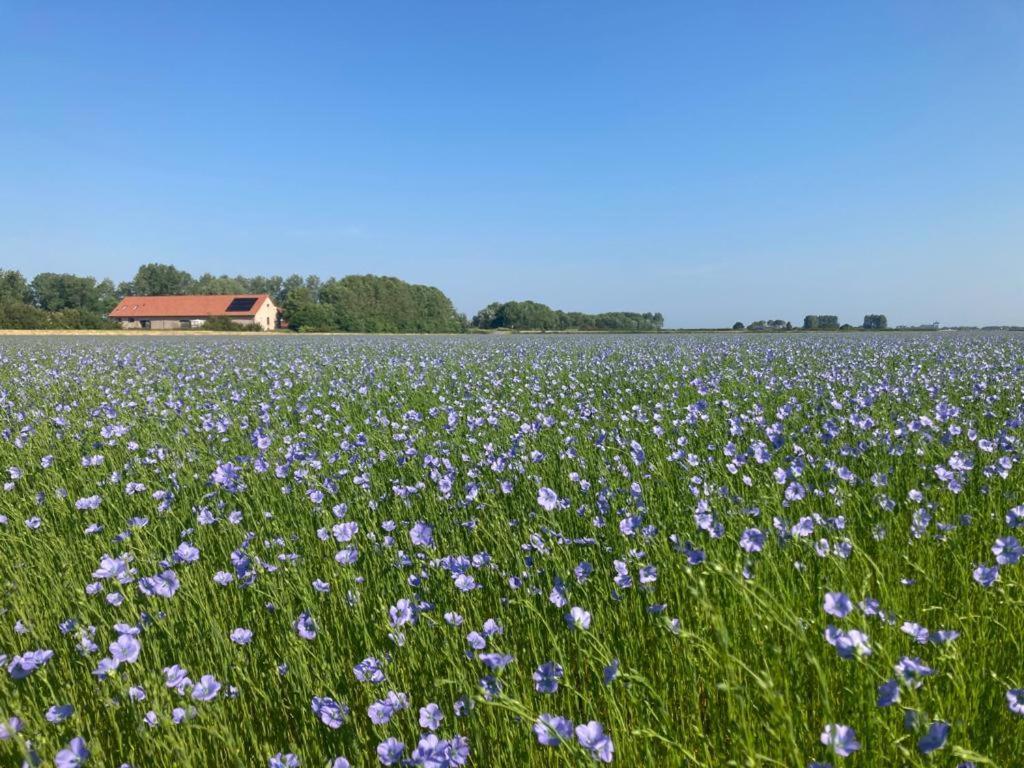 'T Wagenhuis Retranchement Esterno foto