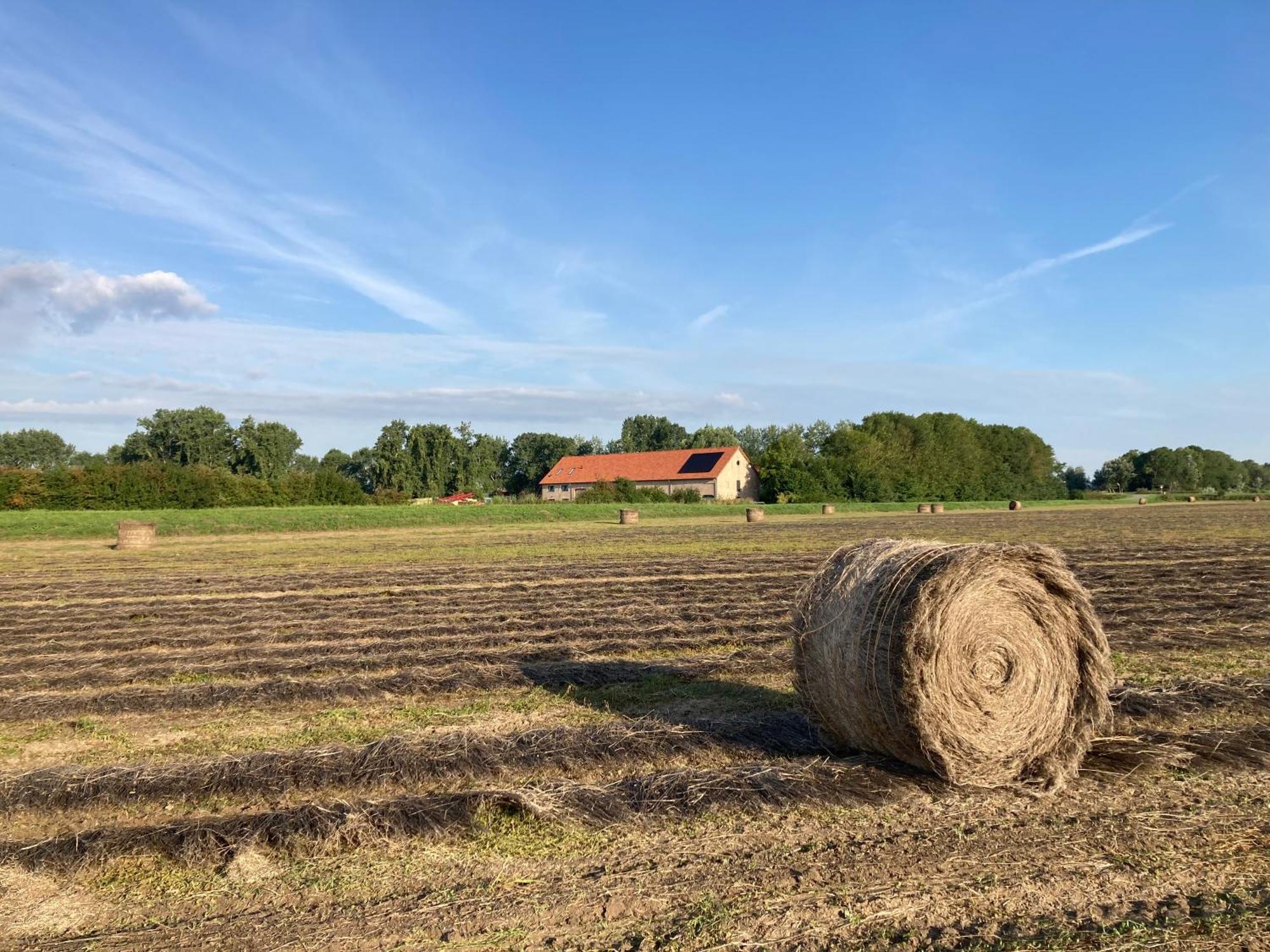 'T Wagenhuis Retranchement Esterno foto